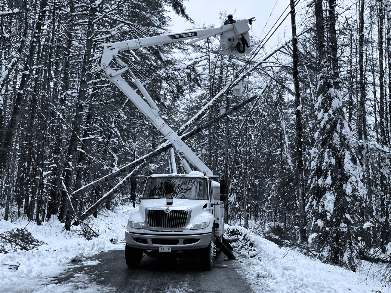 Greystone Utility Services